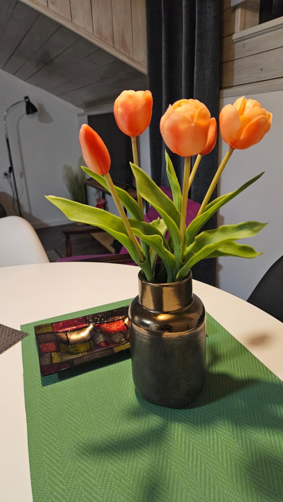 Studio Apartman Gradna Samobor Luaran gambar